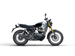 2025 Royal Enfield Bear 650 – Golden Shadow